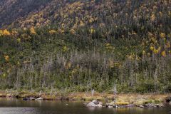 Lac aux Américains