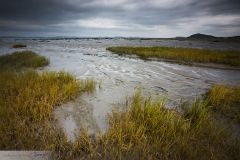 Marais au bord du Saint Laurent