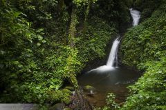 Cascade dans la Réserve de Monteverde