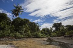 Plage sur le Pacifique