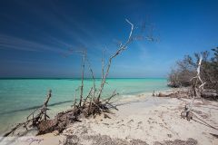 Plage sur le Cayo Levisa dans le Golfe du Méxique