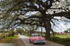 Voiture américaine des années 50