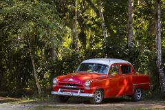 Voiture américaine des années 50