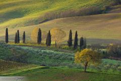 Champs de Toscane