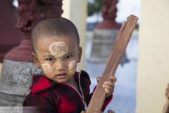 Enfant birman