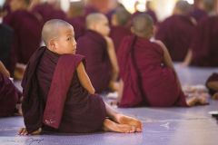 Jeunes moines au monastère