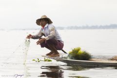 Pêcheur sur le lac Inlé