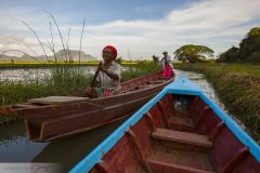 Pirogue dans les rizières