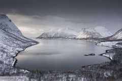Vue sur un fjord