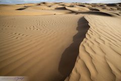 Dunes du désert Wahiba Sands