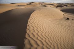 Dunes du désert Wahiba Sands