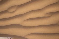 Dunes du désert Wahiba Sands