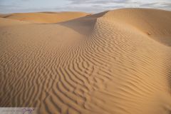 Dunes du désert Wahiba Sands