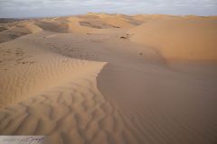 Dunes du désert Wahiba Sands