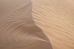 Dunes du désert Wahiba Sands