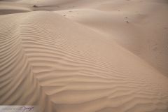 Dunes du désert Wahiba Sands