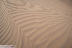 Dunes du désert Wahiba Sands