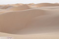 Dunes du désert Wahiba Sands