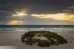 Plage de Duqm