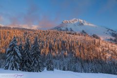 Montagne enneigée