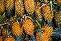 Ananas sur le marché