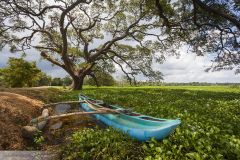 Bateau sur les berges du lac de Tissamaharamaya