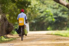 Cycliste sur la digue du lac