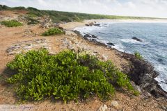 Falaises de bord de mer