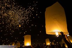 Yi Peng Festival