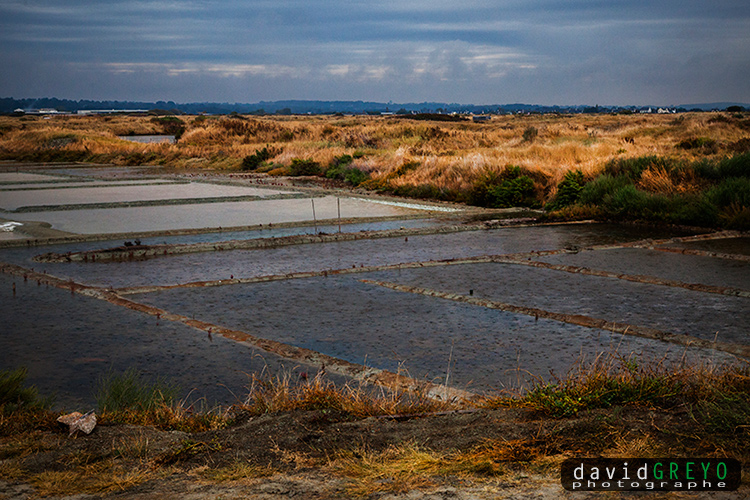 Marais salants