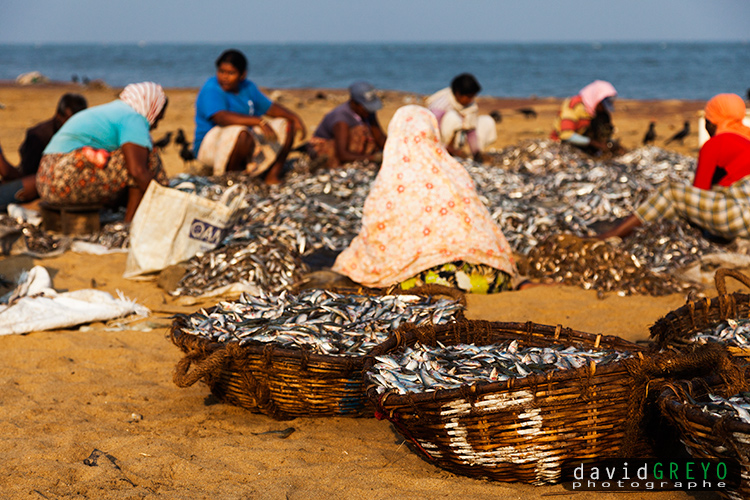 Negombo