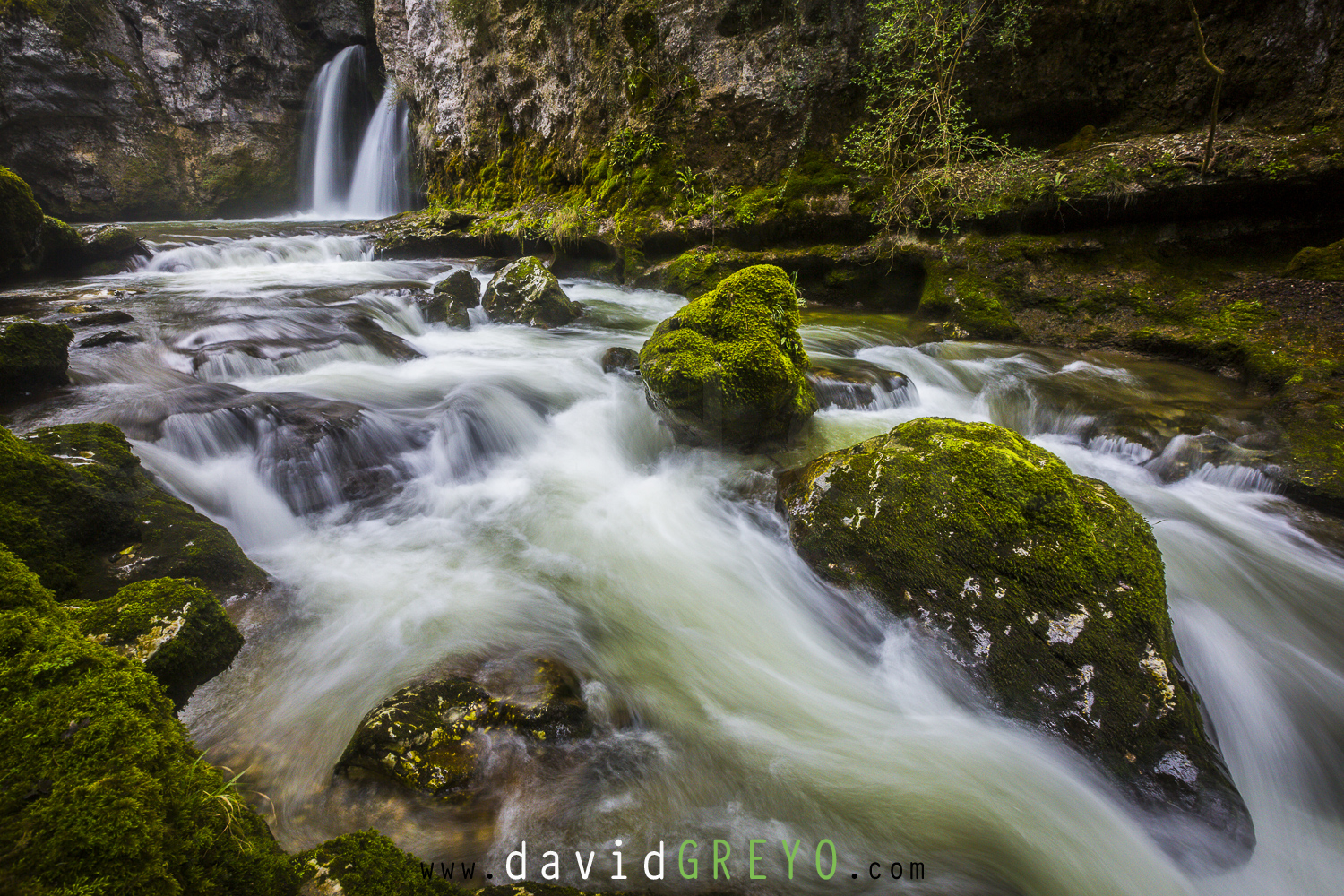 Tine de Conflens