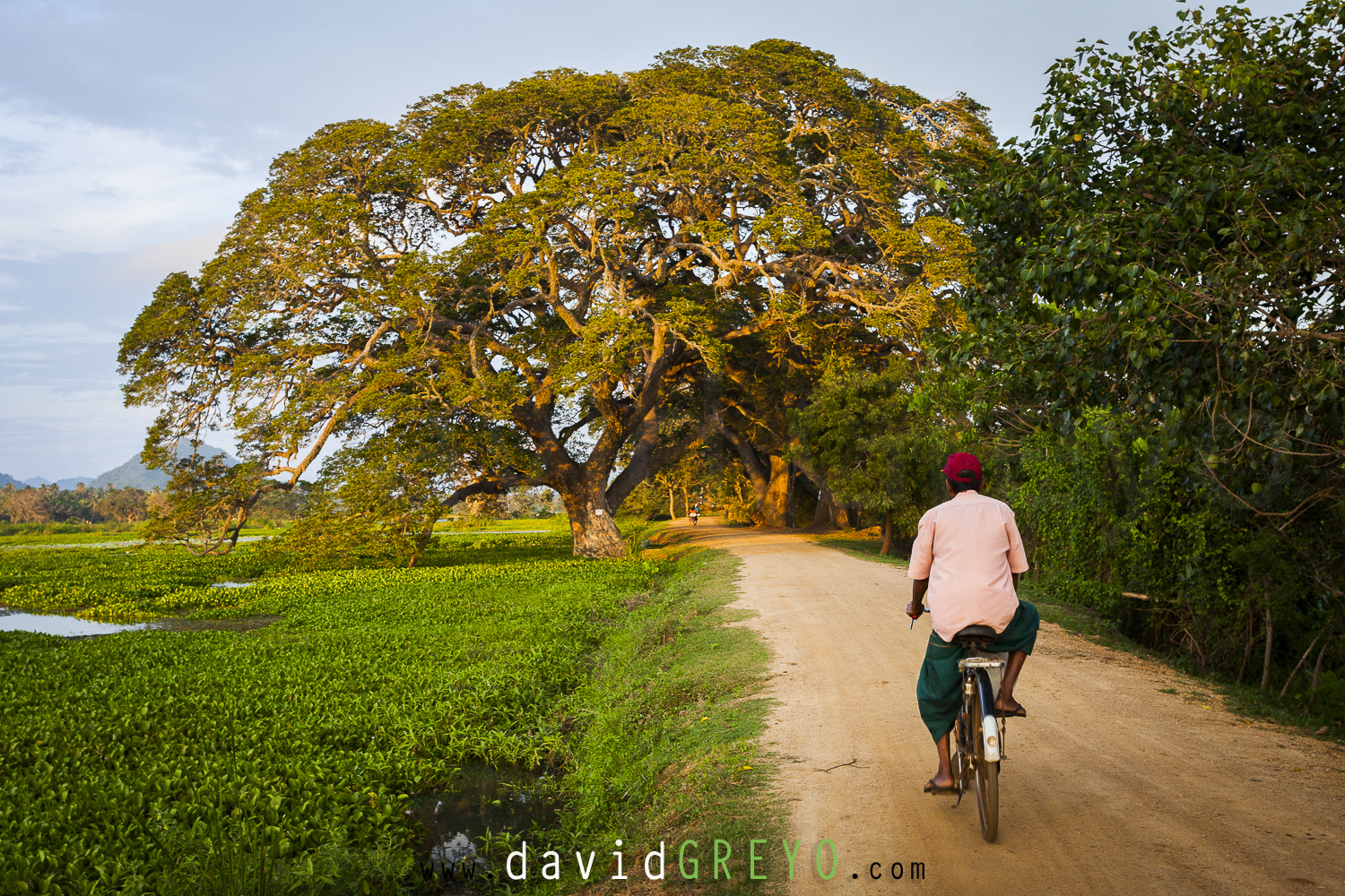 Vélo sur la digue de l'étang