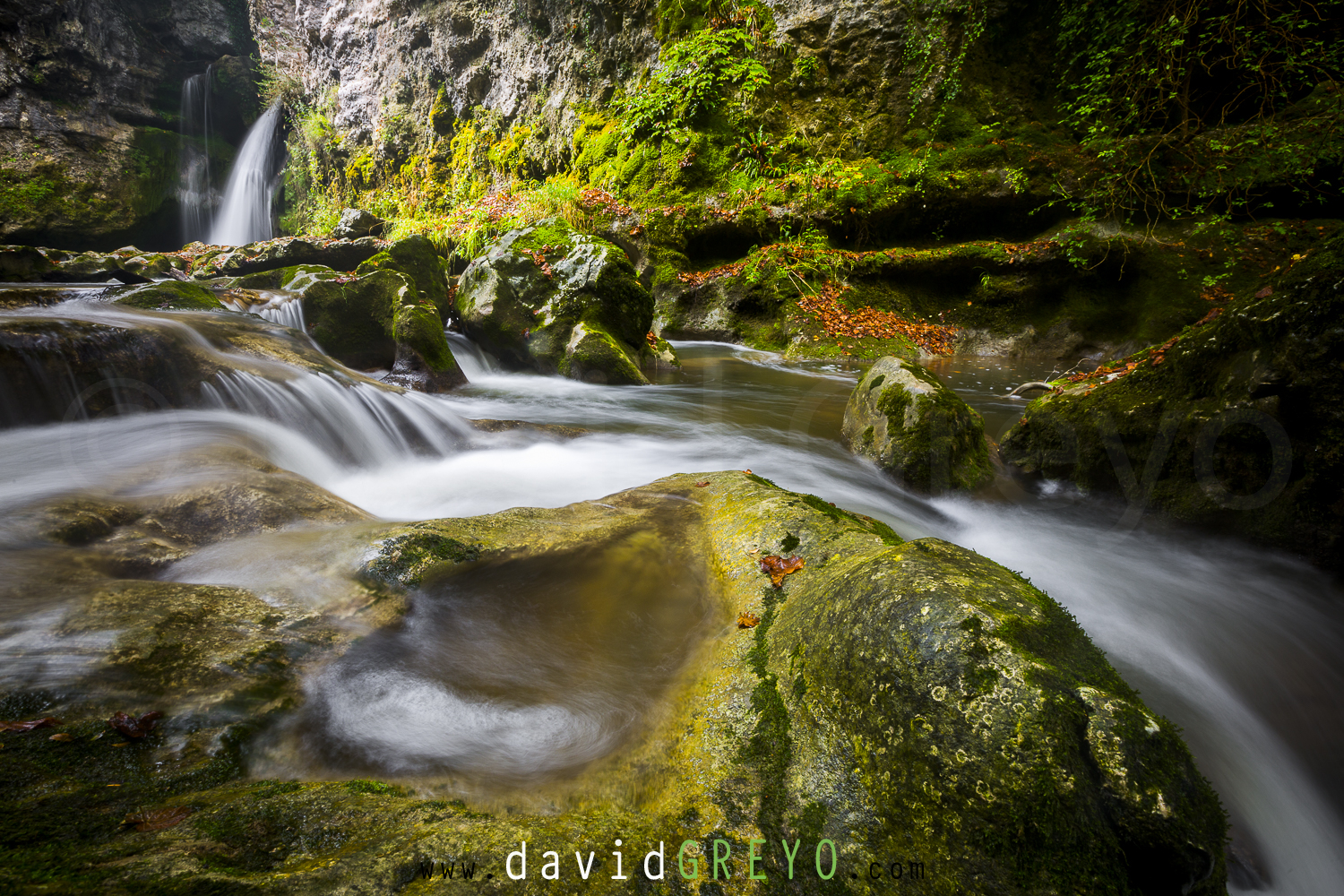 La Tine de Conflens