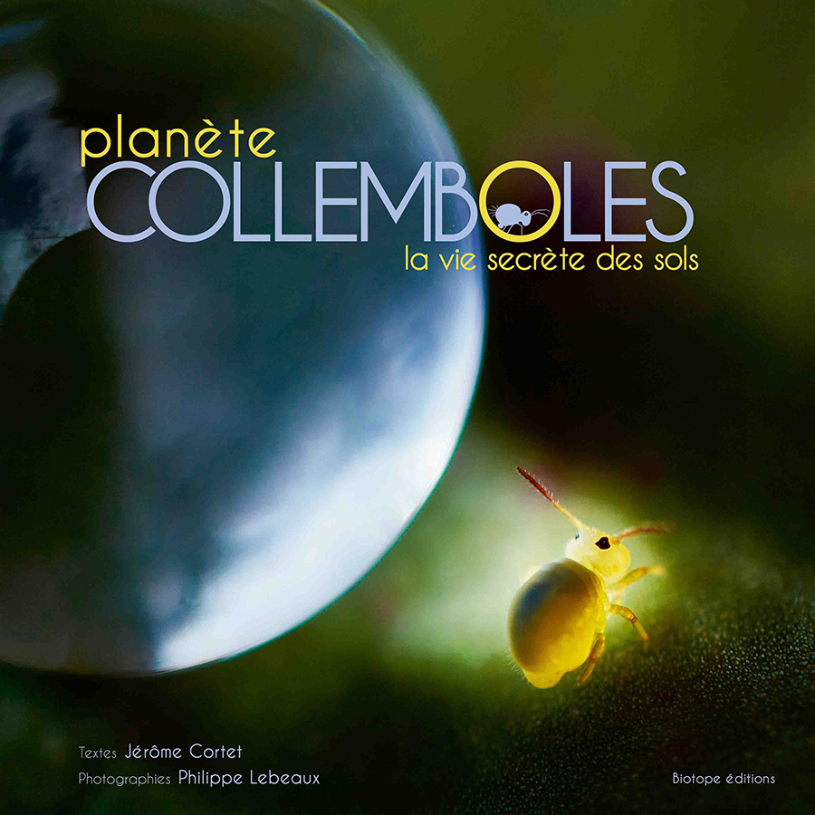 planete_collemboles_-_la_vie_secrete_des_sols_2015