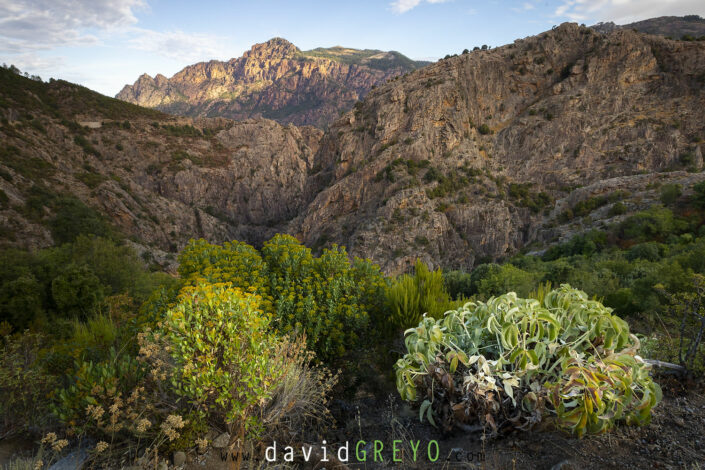 Calanques de Piana