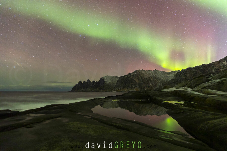 Aurore boréale David Greyo Photographe suisse à Echallens