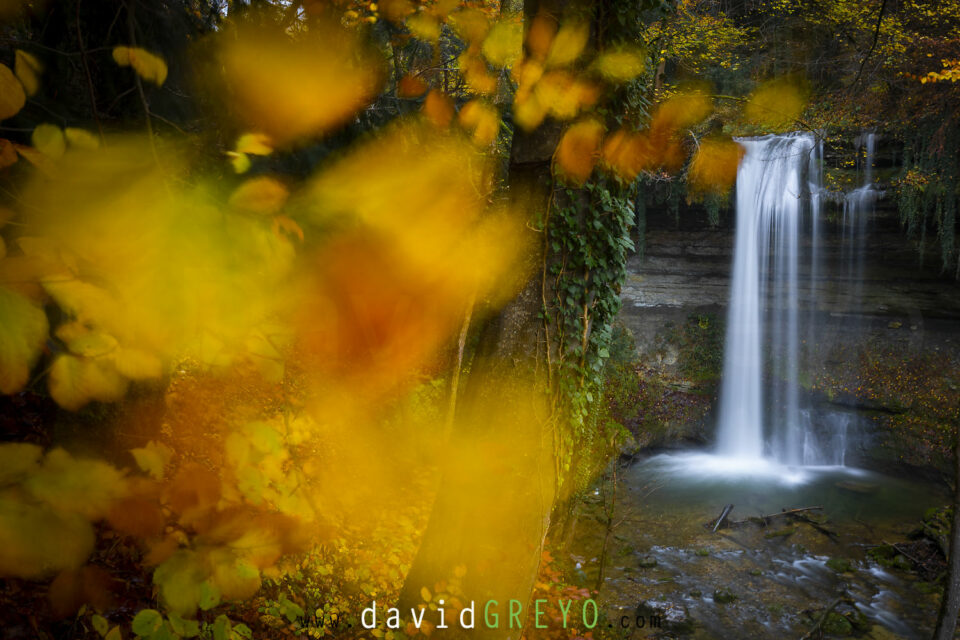 Cascade du Dard