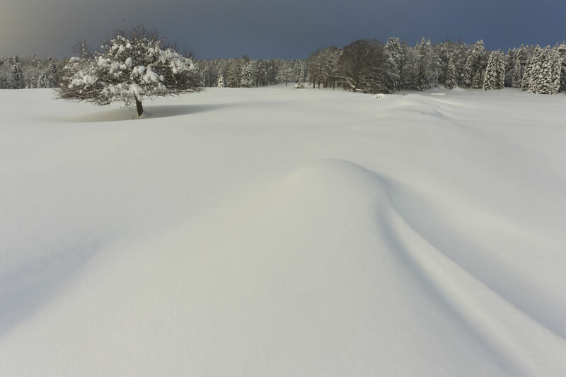 Jura blanc